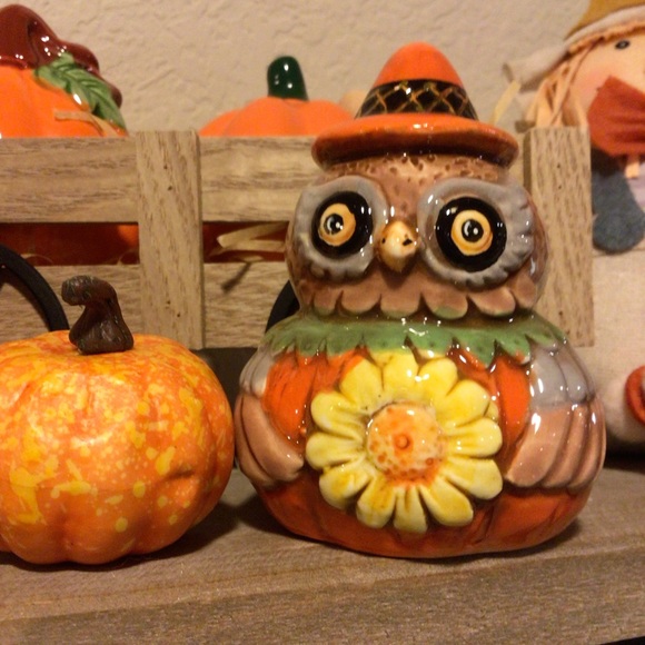 Johanna Parker turkey and owl Salt & Pepper Shakers 🍁 - Picture 3 of 16